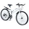 Bicycle Limited Edition - SOLD OUT シルバー　ペンダント WW-B67-WH
