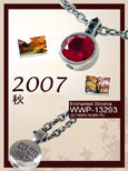 Autumn 2007 - WWP-13293 