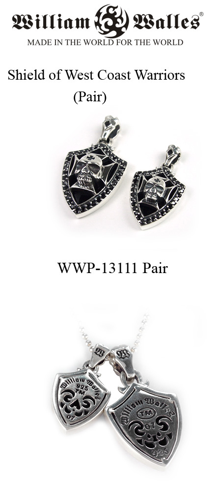 yAy_g WWP-13111 PAIR