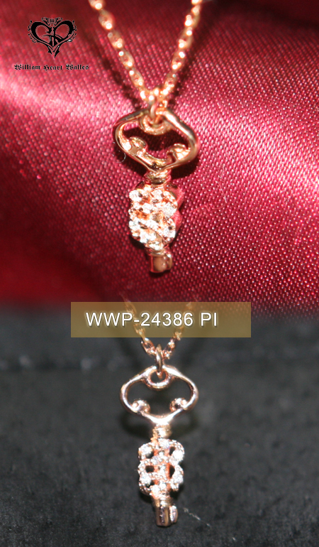 fB[Xy_g WWP-24386 PI