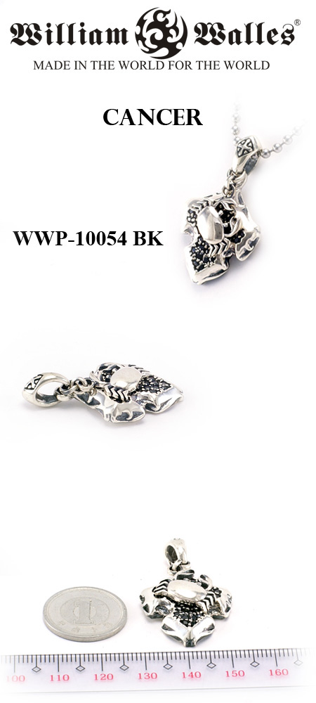 Vo[@y_g WWP-10054-BK